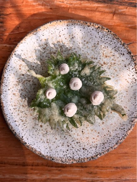 Section Galeria → IMG 2499.jpeg 3